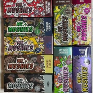 Buy Mr Mushies Chocolate Bars 4G in EU