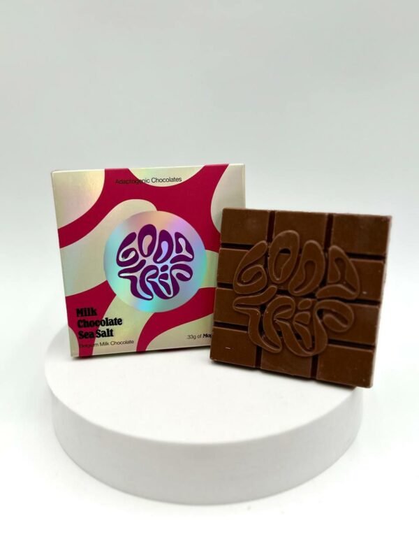 Buy Good Trip Mushroom Chocolate 4g