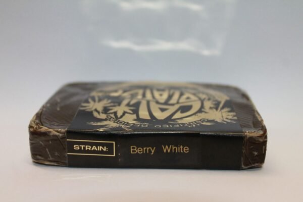 Buy Cali Plates Berry White Dry Sift