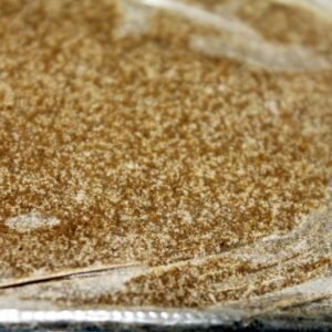 Buy Zkittlez Static Hash 73u-139u Now
