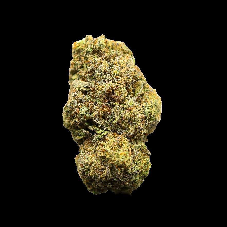 Buy Blackberry Punch Strain 1LB Now