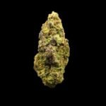 Buy Toasted Marshmallows Strain 1LB