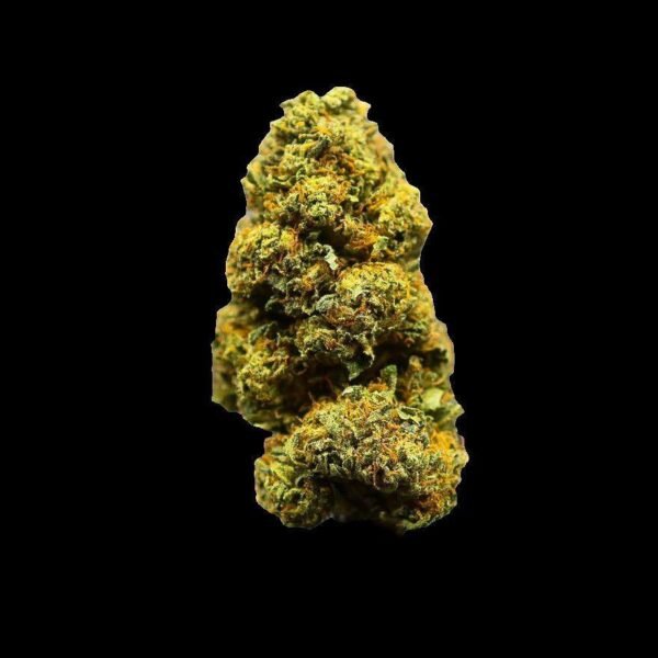 Buy Bubblegum Biscotti Weed Strain Now