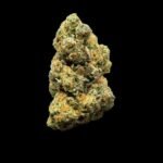 Chocolate Lava Cake Weed Strain Online