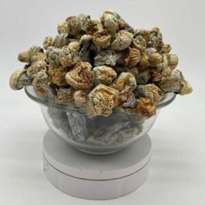 Buy Pie Orgie Mushroom Online in EU