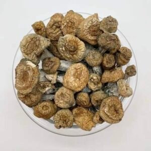 Buy Bluey Vuitton Mushroom Now in EU