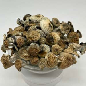 Buy Hillbilly Mushroom Online in EU