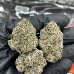 Buy Foreignz Indoor Flower Now in EU