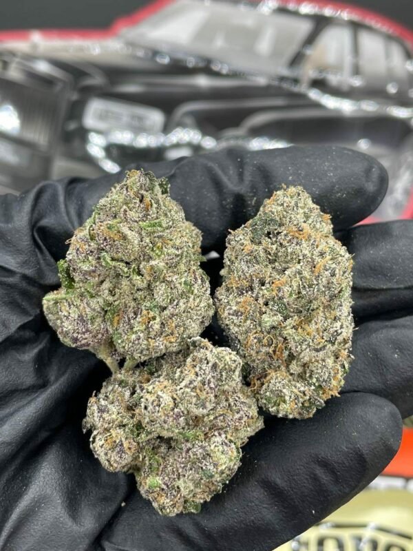 Buy Foreignz Indoor Flower Now in EU