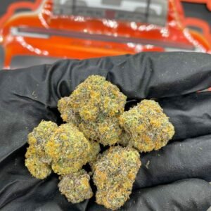 Buy Foreignz Indoor Flower Now in EU