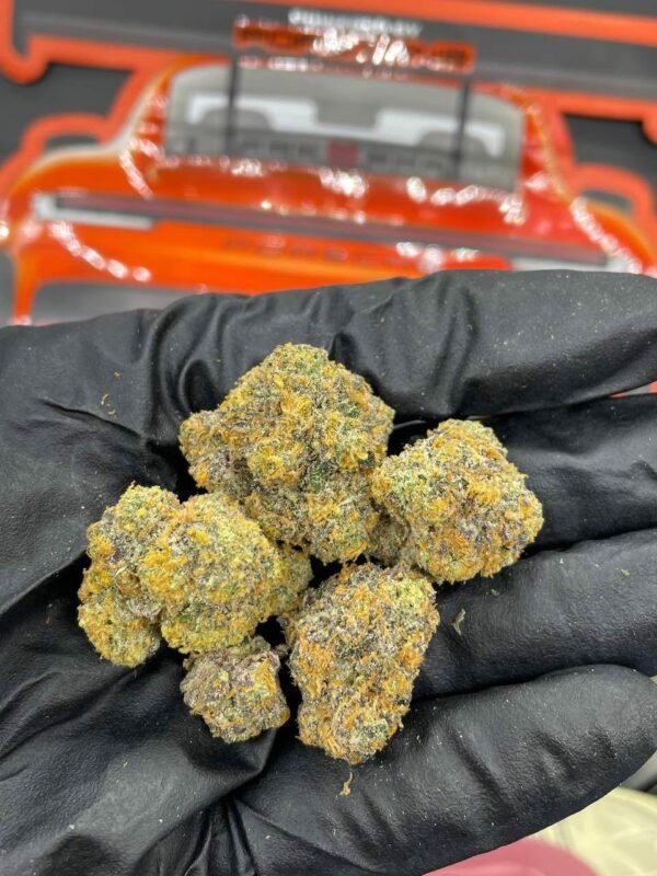 Buy Foreignz Indoor Flower Now in EU