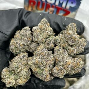 Buy Trump Runtz Weed 1LB Online in EU