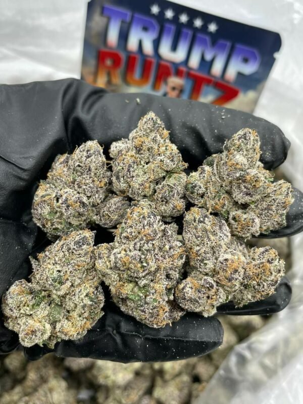 Buy Trump Runtz Weed 1LB Online in EU