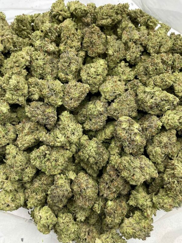 Buy Blackberry Kush Mint Weed in EU