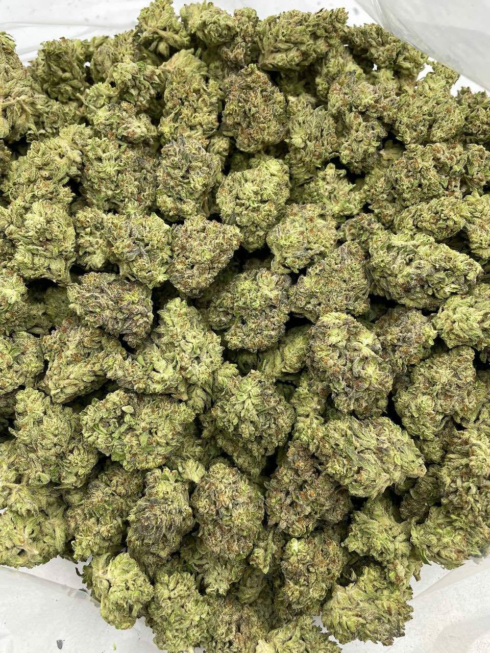Order Blackberry Kush Mint Weed Now