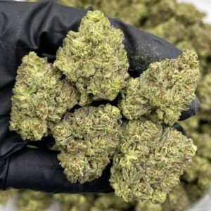Buy Blackberry Kush Mint Weed in EU