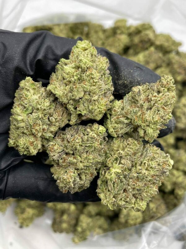 Buy Blackberry Kush Mint Weed in EU