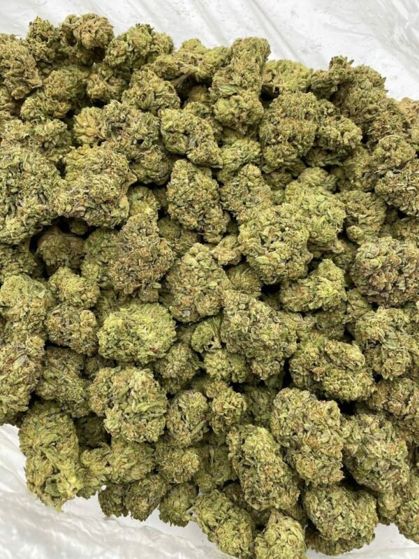 Buy Cookie Gas Lows Weed for sale NL