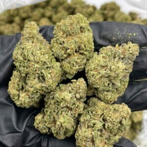 Buy Cookie Gas Lows Weed for sale NL