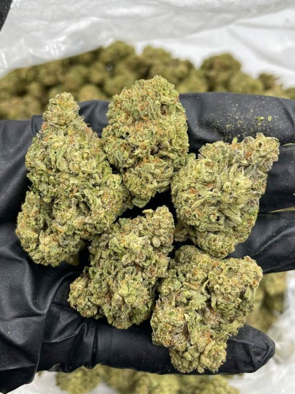 Buy Cookie Gas Lows Weed for sale NL