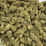 Buy Zookie Lows Weed for sale Now NL