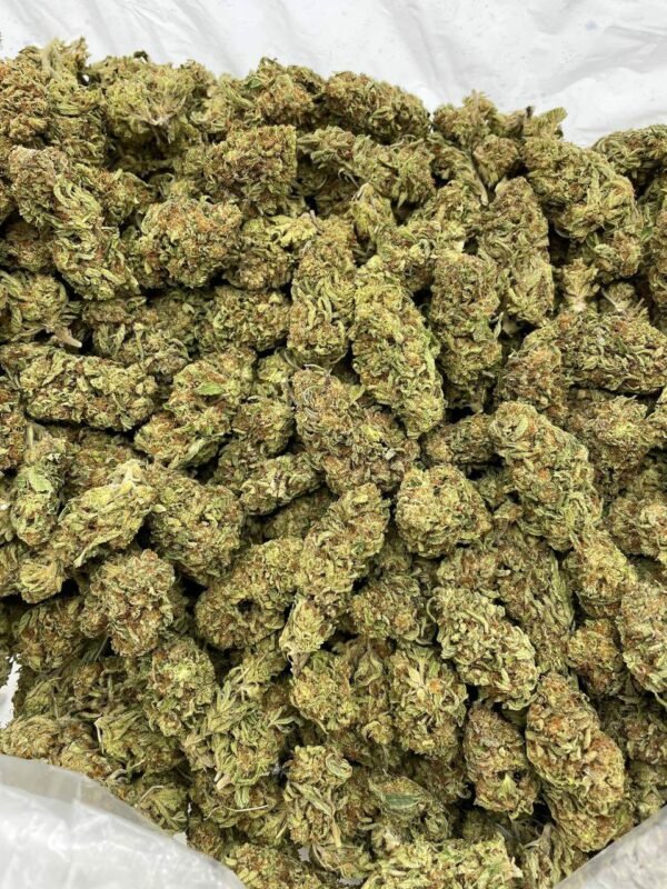 Buy Zookie Lows Weed for sale Now NL