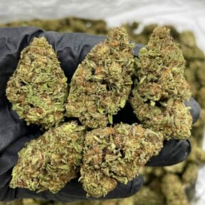Buy Zookie Lows Weed for sale Now NL