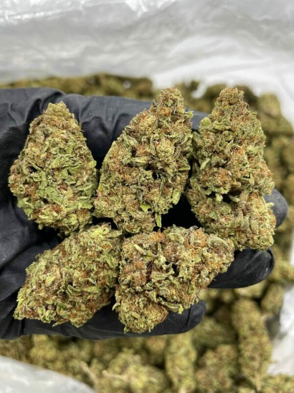 Buy Zookie Lows Weed for sale Now NL