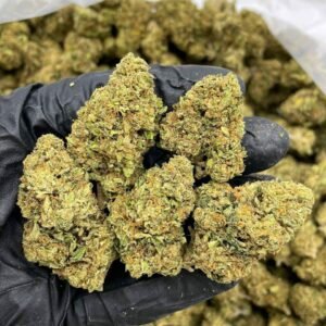 Buy Banana Punch Lows Weed Online NL