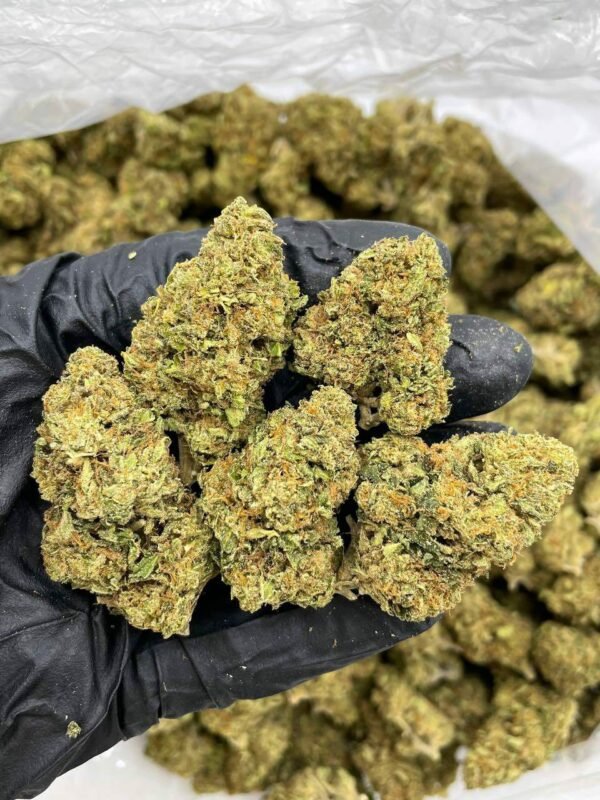 Buy Banana Punch Lows Weed Online NL