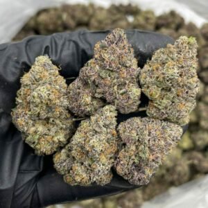 Buy Cherry Smarties Indoors Weed Now