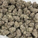 Buy Rainbow Stomper Indoors Weed NL