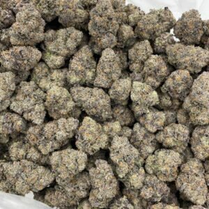 Buy Rainbow Stomper Indoors Weed NL
