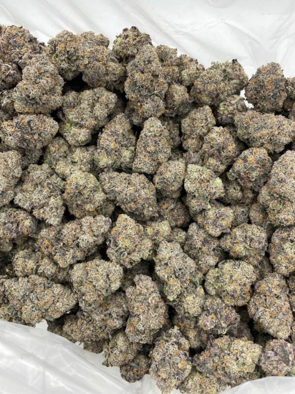Buy Rainbow Stomper Indoors Weed NL