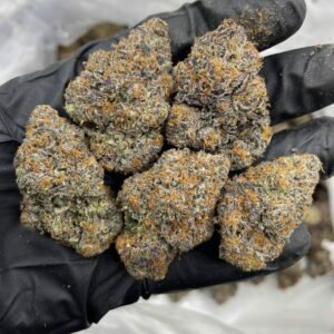 Buy Animal Style Indoors Weed for sale