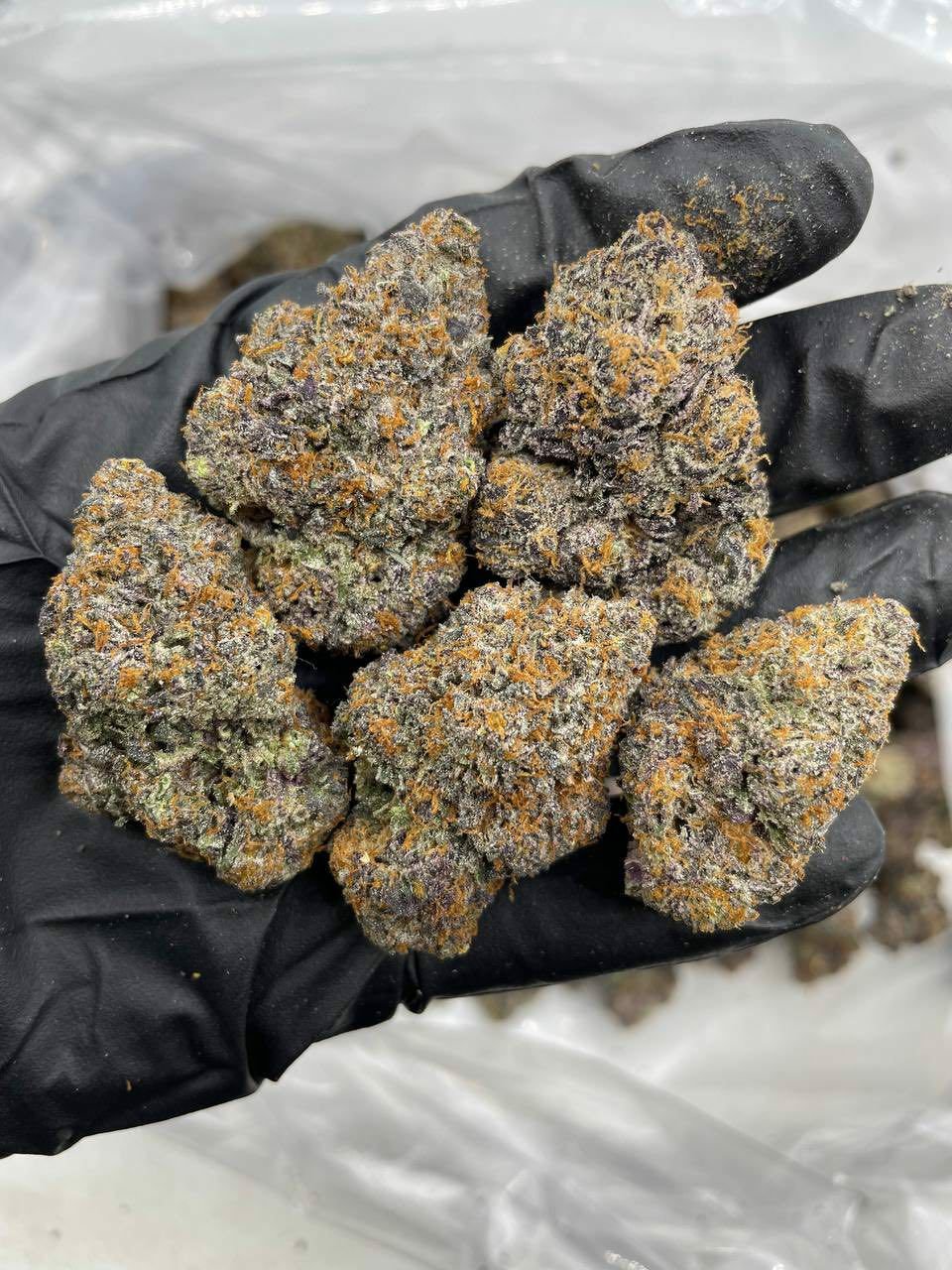 Buy Animal Style Indoors Weed for sale