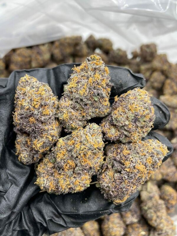 Buy Candy Zoap Indoors Weed Online NL