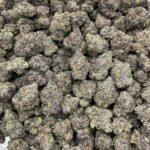 Buy Rainbow Trix Indoors Weed Now NL