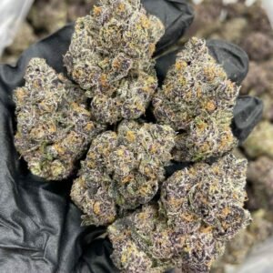 Buy Rainbow Trix Indoors Weed Now NL