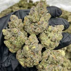 Buy Blueberry Diesel Weed Online in EU