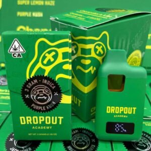 Buy Dropout Academy Disposable 3G Now