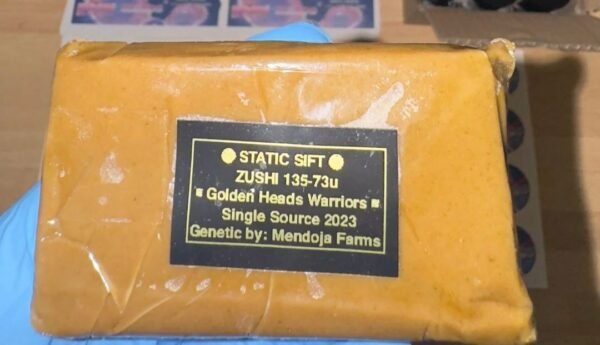 Buy Golden Heads Warriors Hash Online