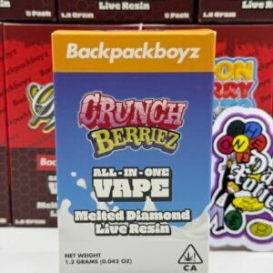 Buy Backpack Boyz Disposable 2g Vape