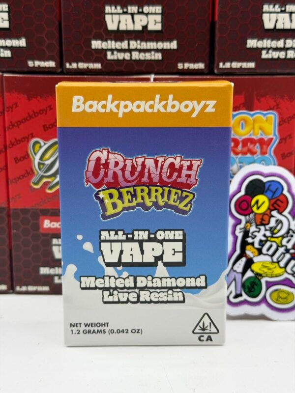 Buy Backpack Boyz Disposable 2g Vape